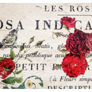 Redoute  Transferfolie – Bild 3