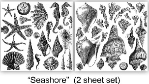 image032 Dekor Stempel Seashore – Bild 1