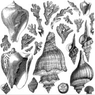 Dekor Stempel Seashore – Bild 2