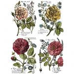 Ladies in waiting Transferfolie