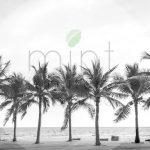 Mint by Michelle Decoupagepapier Palm trees