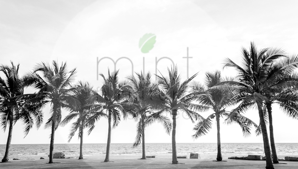 Palm Trees Mint by Michelle Decoupagepapier Palm trees – Bild 1