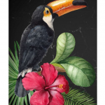 Mint by Michelle Decoupagepapier Toucan
