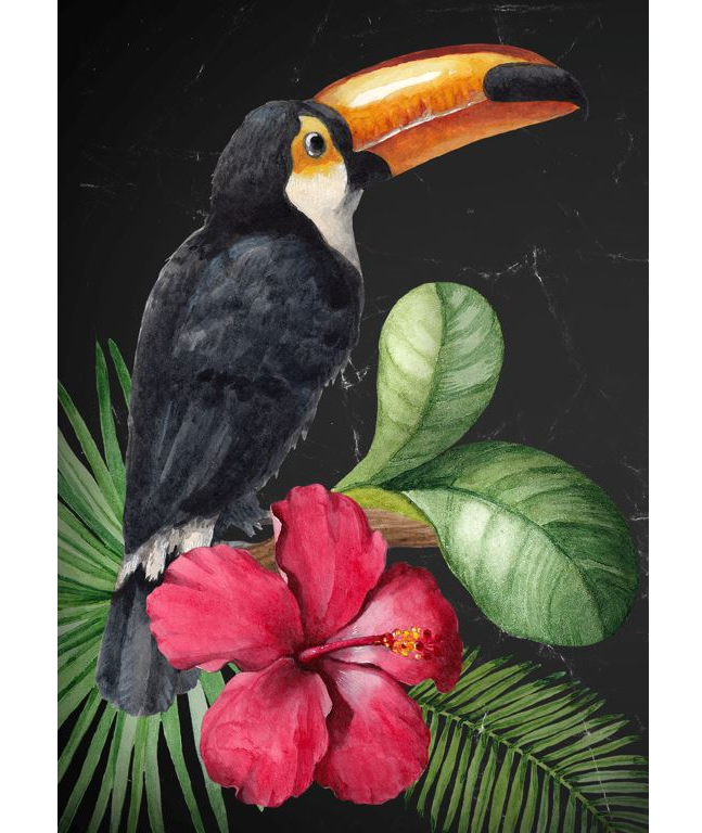 ToucanSNIP_5000x Mint by Michelle Decoupagepapier Toucan – Bild 1