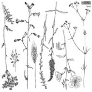 Dekor Stempel Sprigs