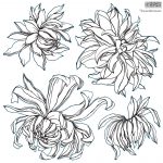 Dekor Stempel Chrysanthemum