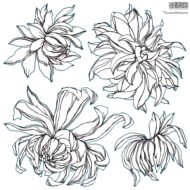 Dekor Stempel Chrysanthemum – Bild 3