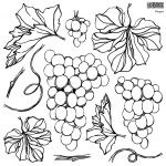 Dekor Stempel Grapes