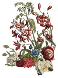 June Transferfolie – Bild 4