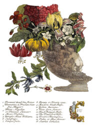 June Transferfolie – Bild 6