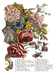 June Transferfolie – Bild 7