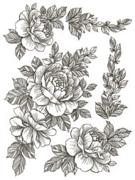 Desperado Transferfolie- Neu – Bild 4