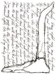 Desperado Transferfolie- Neu – Bild 8