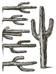 Desperado Transferfolie- Neu – Bild 7