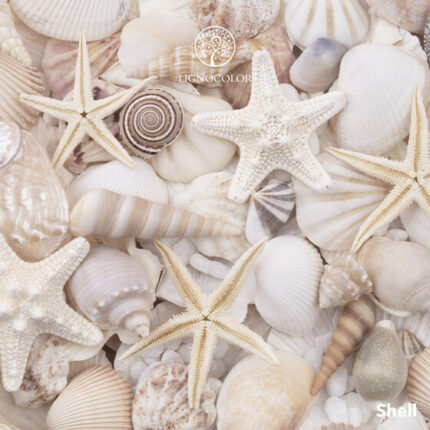 Lignocolor-kreidefarbe-shell