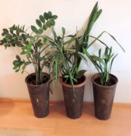 Saltwash Pulver - Mittel- 285 Gr. – Bild 2