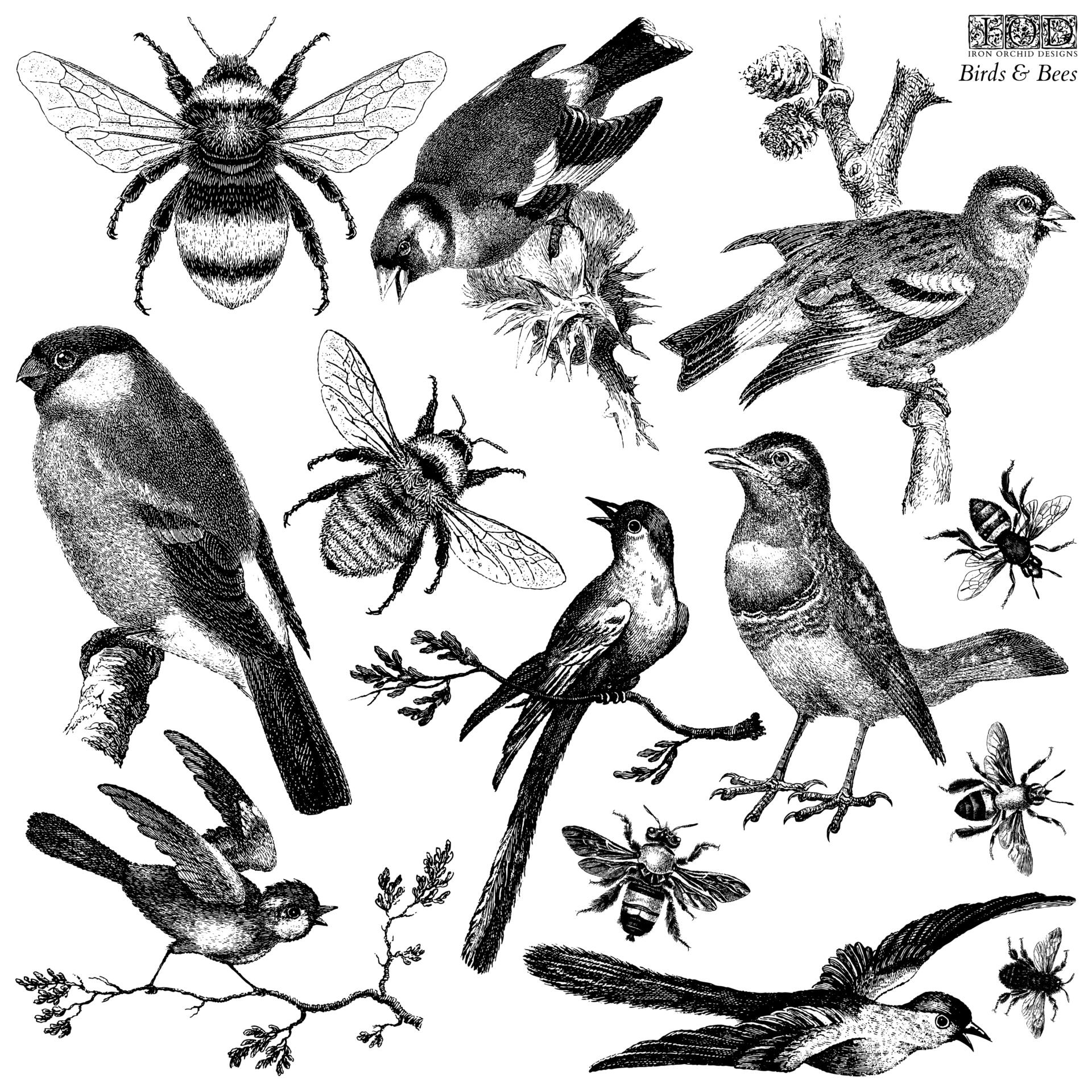 Birds_&_Bees_stamp_artwork Dekor Stempel Birds & Bees Neu! – Bild 1