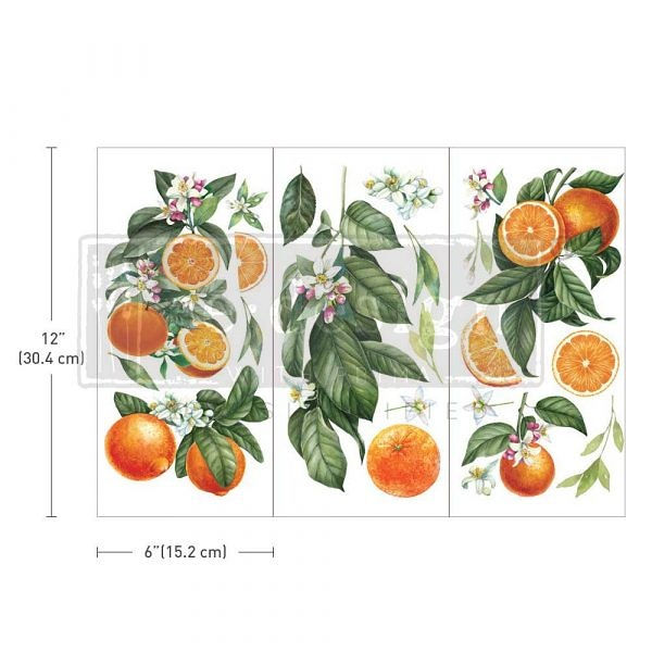 citrusslice6x12-1 Citrus slice Transferfolie ReDesign – Bild 1