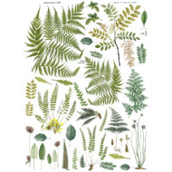 Fronds Botanical Transferfolie IOD – Bild 4