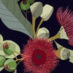 Mint by Michelle Decoupagepapier Gumnuts