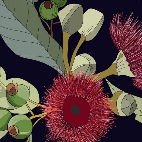 Gumnuts-1 Mint by Michelle Decoupagepapier Gumnuts – Bild 1